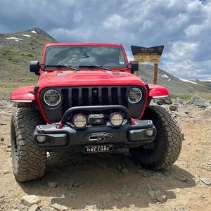 Meet your Posher, Roy